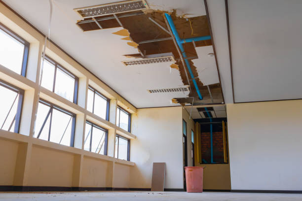Best Sewage cleanup and water damage restoration  in Karnes City, TX