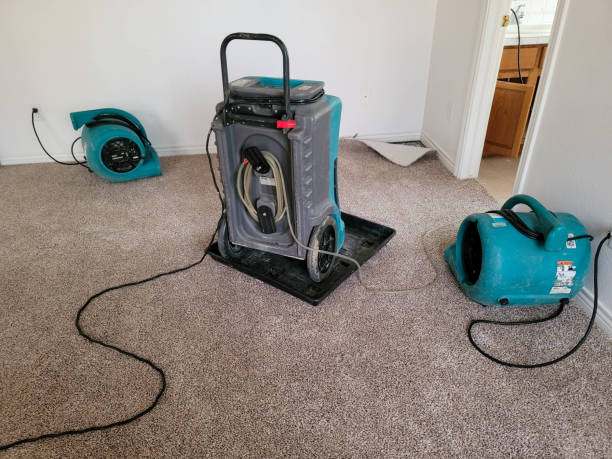 Best Flooded house restoration  in Karnes City, TX