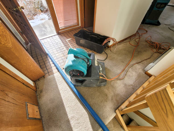 Best 24/7 water damage repair  in Karnes City, TX