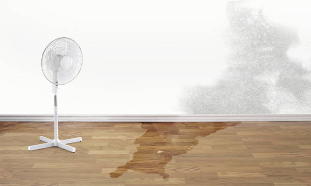 Best Basement water damage restoration  in Karnes City, TX
