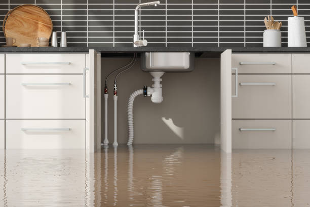 Best Flood damage cleanup  in Karnes City, TX